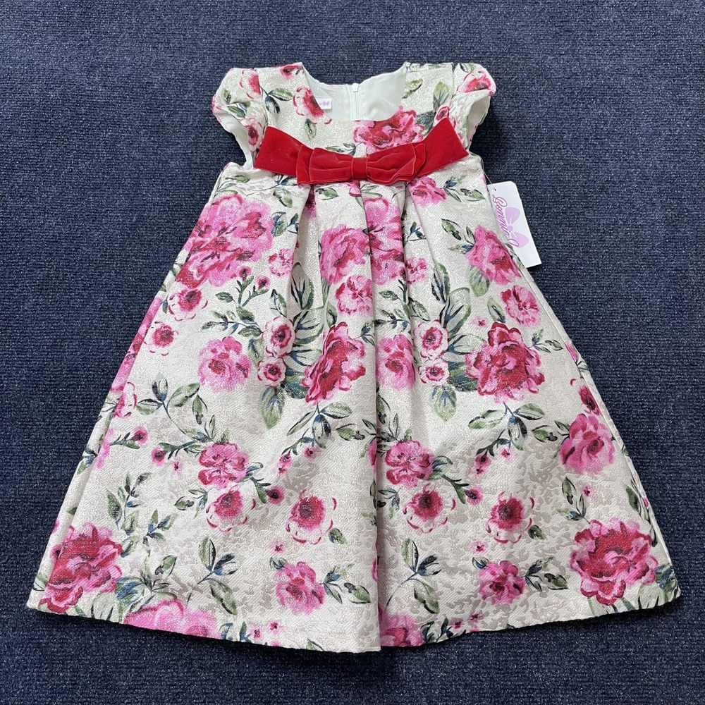 Bonnie Jean Dress Girls 5 Ivory Floral Velvet Bow Cap Sleeve Special Occasion